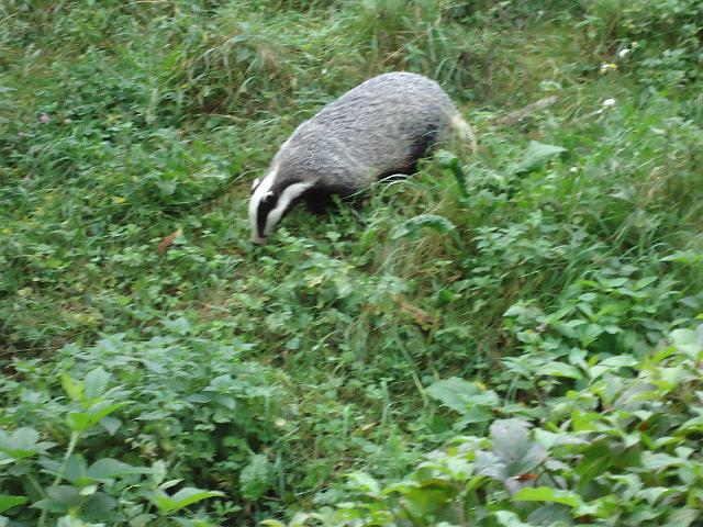 Damenfahrt Otterzentrum 006.jpg
